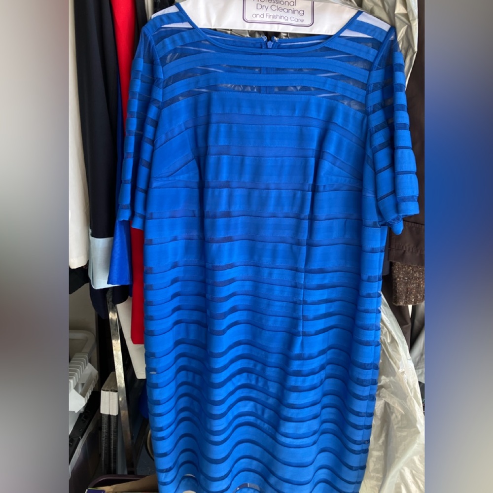 Beautiful Adrianna Papell Dress